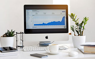 开云-巴西男篮绝杀鹈鹕，莫兰特助攻点燃比赛激情